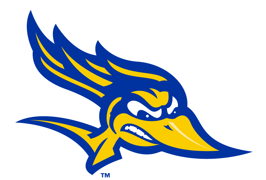 CSU Bakersfield Roadrunners 2017-2019 Primary Logo diy DTF decal sticker